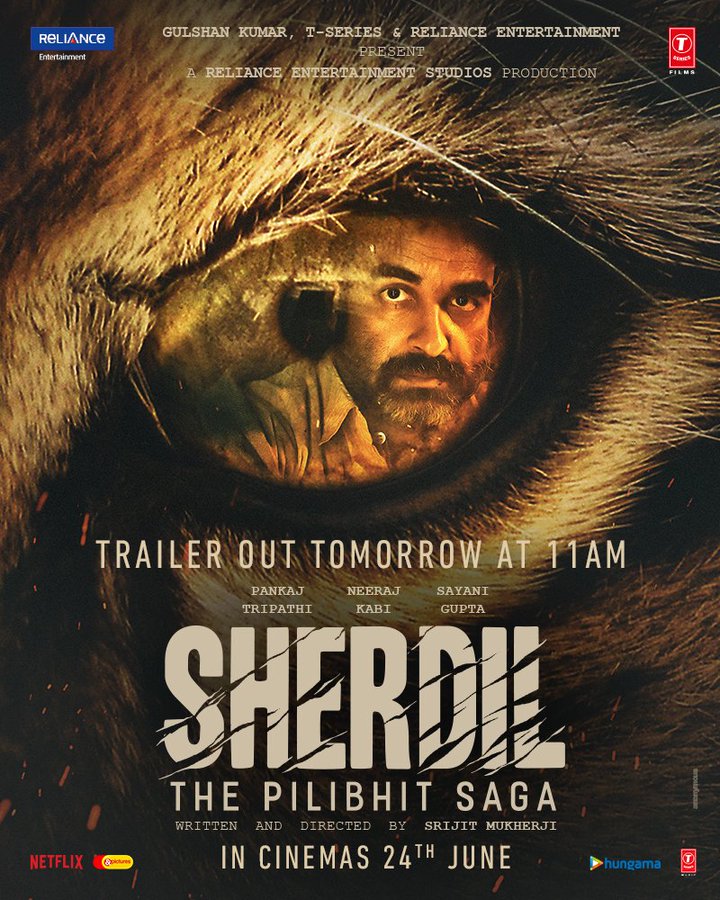 Sherdil Movie Review | Sherdil Filmy Rating 2022