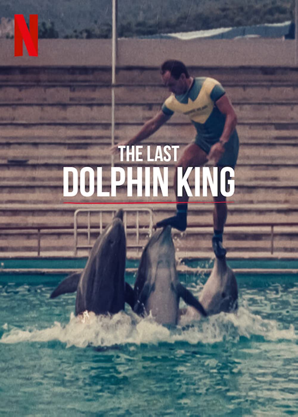 The Last Dolphin King Parents Guide | The Last Dolphin King Rating 2022