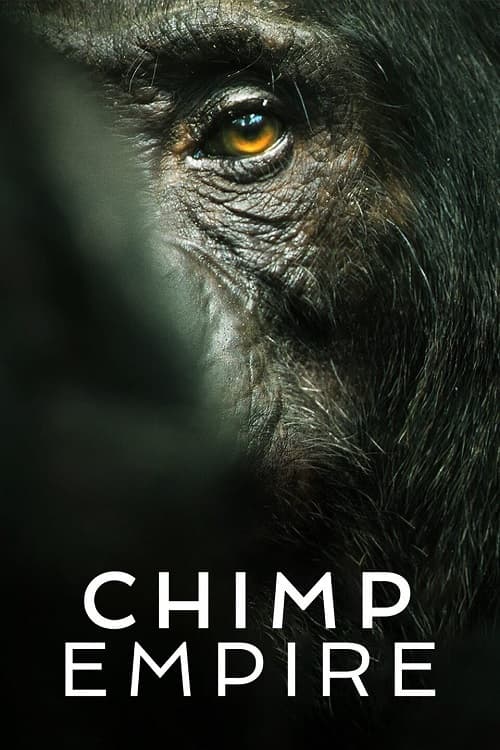Chimp Empire Parents Guide | Chimp Empire Rating 2023
