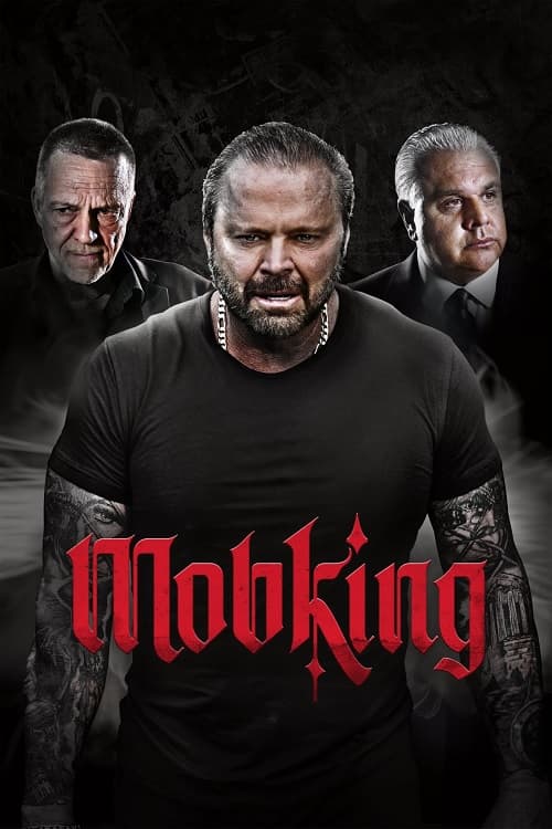 MobKing Parents Guide | MobKing Rating 2023