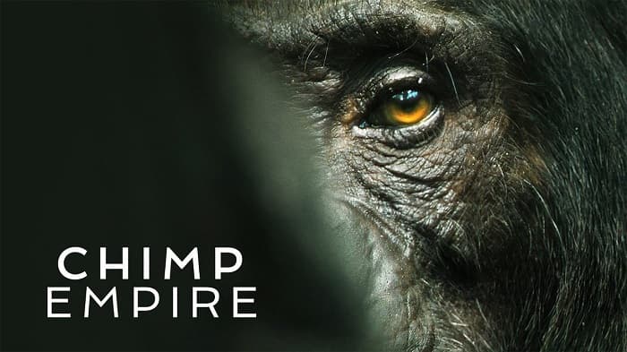 Chimp Empire Parents Guide | Chimp Empire Rating 2023